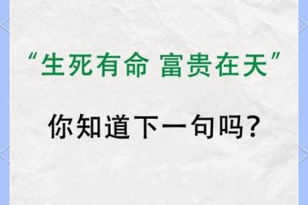 什么才是富贵命的人：人生的真正财富与幸福