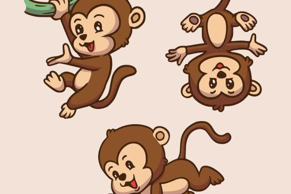 水命女人的独特魅力与生肖特性解析 水命女人的独特魅力与生肖特性解析