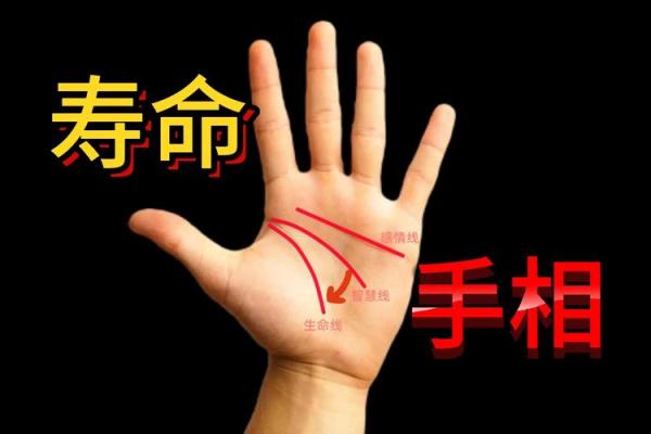 手指短粗的人是什么命？揭示命运的秘密！
