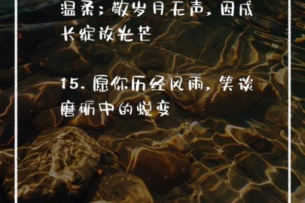 沙中土命：生于土壤，情系万物的命运之路