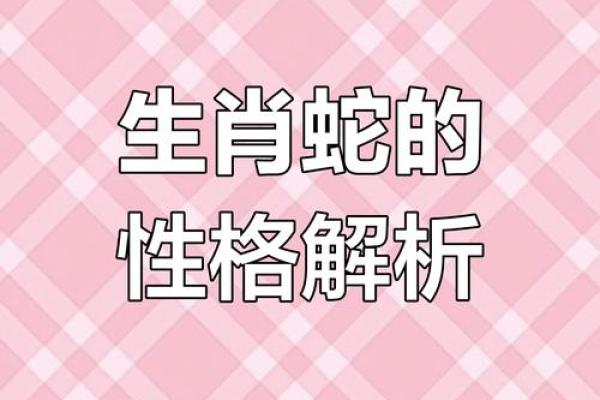 女命暗合与生肖的深刻解读：命理中的秘密与启示