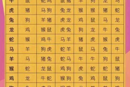 女命暗合与生肖的深刻解读：命理中的秘密与启示