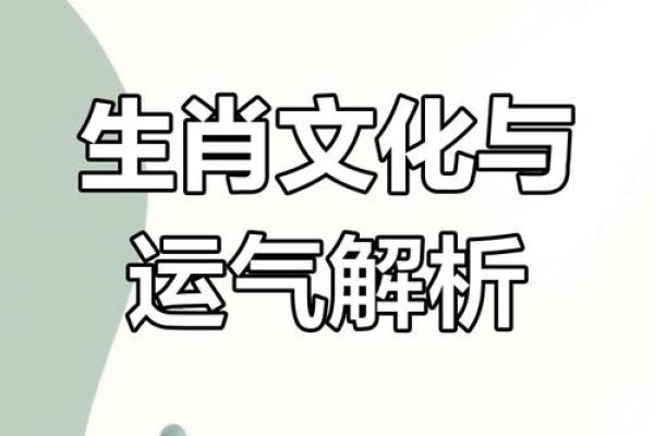 66年女马命运分析：探寻生肖背后的秘密与人生智慧