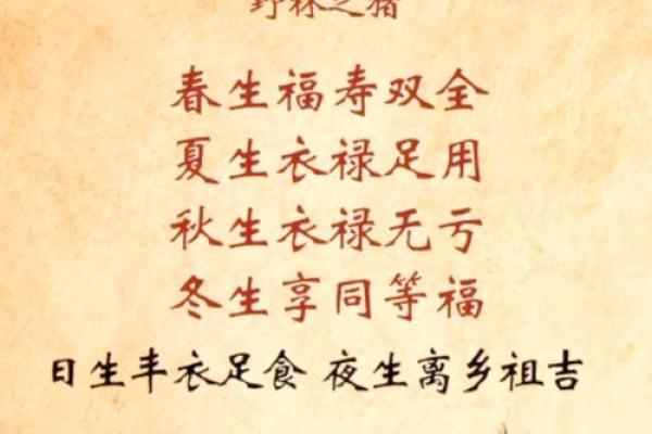 山下火命如何选择完美配饰，提升个人魅力！