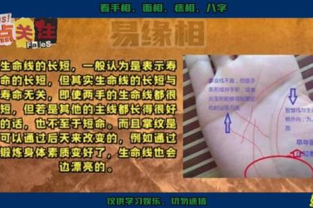 手相命理揭秘：从命短看人生轨迹与内在潜力！