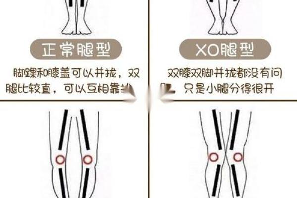 什么腿是富贵命,揭示腿型与命运的秘密! 什么腿是富贵命,揭示腿型与命运的秘密!