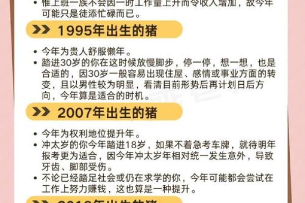 属猪的命运：猪年出生者的最佳运势解析与生活指南