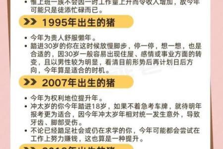 属猪的命运：猪年出生者的最佳运势解析与生活指南