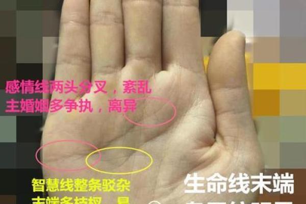 眉毛短小的命格是否暗示着命运的不同? 眉毛短小的命格是否暗示着命运的不同?