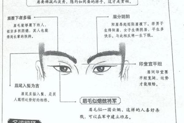 眉毛短小的命格是否暗示着命运的不同? 眉毛短小的命格是否暗示着命运的不同?