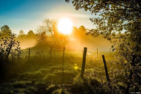 涧水命的人最怕:情绪波动与环境变化的深层影响 涧水命的人最怕:情绪波动与环境变化的深层影响