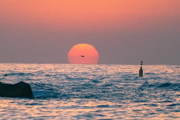 《拿命来BGM:音乐与生活的坚韧碰撞》 《拿命来BGM:音乐与生活的坚韧碰撞》