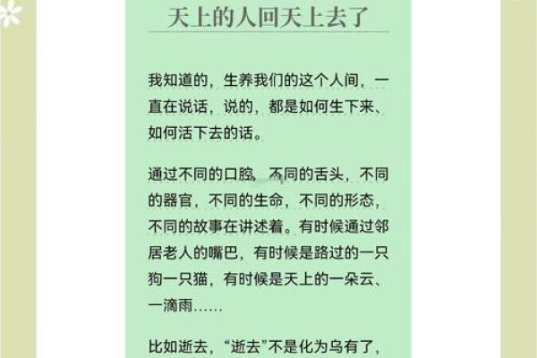 努力与命运交织的旋律：从《命》看人生的选择与坚持