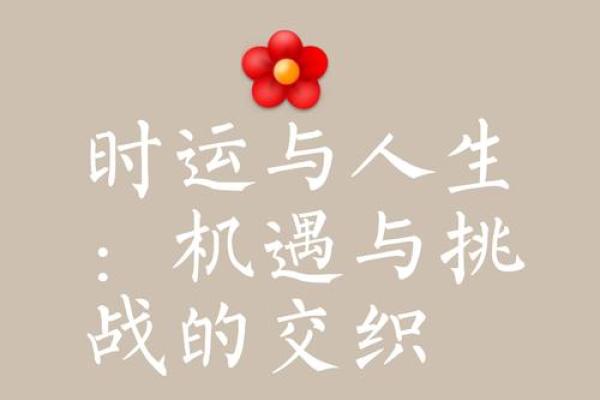 努力与命运交织的旋律：从《命》看人生的选择与坚持