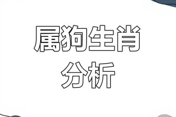 82年狗子命：命运与性格的深度解析