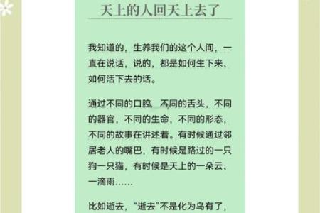 努力与命运交织的旋律：从《命》看人生的选择与坚持