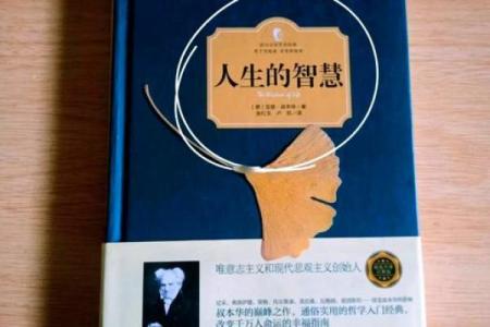 如何理解头脑有问题的人生命运，善用智慧照亮人生之路
