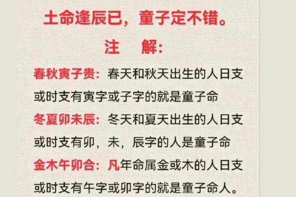 探究土命与辰巳土的奥秘：你的命运由土决定？