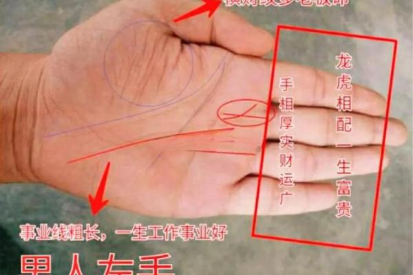 手相揭秘：那些天生成为老板的人特征