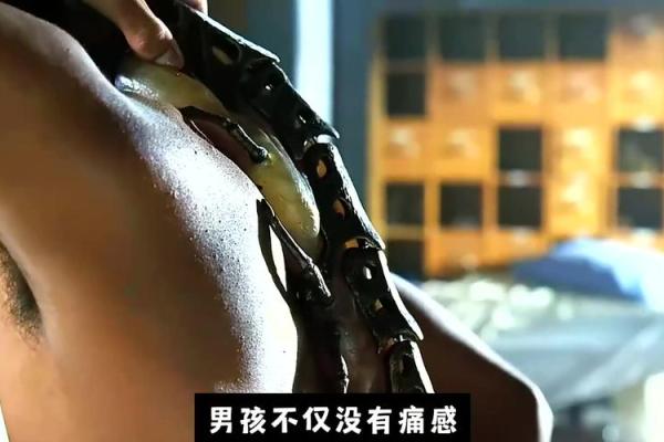 男人骨头4.9量,探秘命理与人生的深秘密 男人骨头4.9量,探秘命理与人生的深秘密