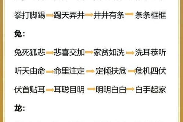命什么一什么，成语接龙乐无穷！