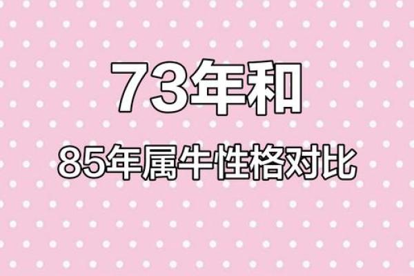 73年羊属牛的人命理分析：揭开命运的神秘面纱