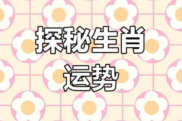 探秘16岁:你的生肖与命运揭示人生的秘诀! 探秘16岁:你的生肖与命运揭示人生的秘诀!