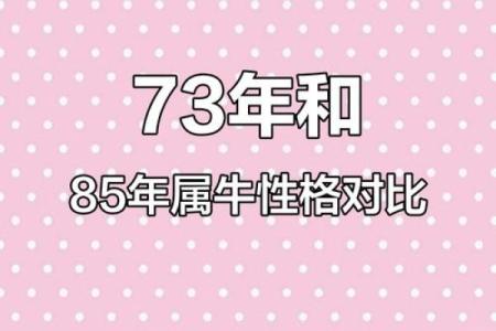 73年羊属牛的人命理分析：揭开命运的神秘面纱