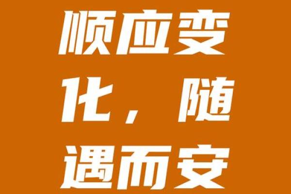 生时有幸，死时无憾：命运的智慧与启示