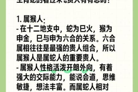属蛇未时出生命运解析：智慧与挑战并存的生活之旅