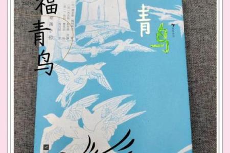 青鸟之命：命格中的希望与翱翔