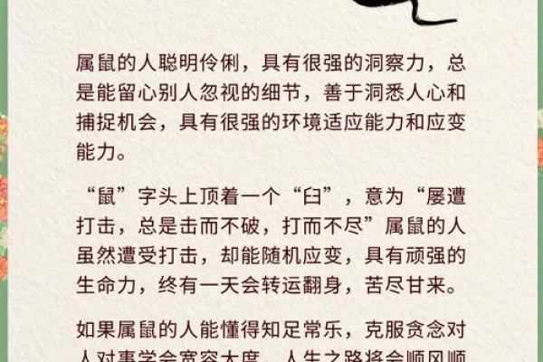 73年的命运之路：探寻生肖之间的奥秘与启示