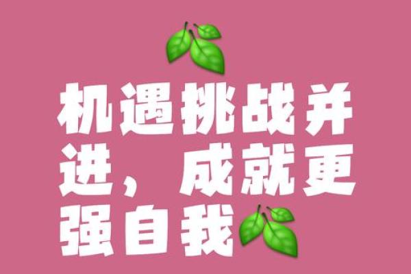 2000龙年命运解读:如何把握人生机遇与挑战 2000龙年命运解读:如何把握人生机遇与挑战