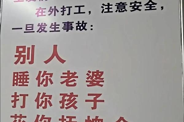 人与命不和的深层内涵与生活启示