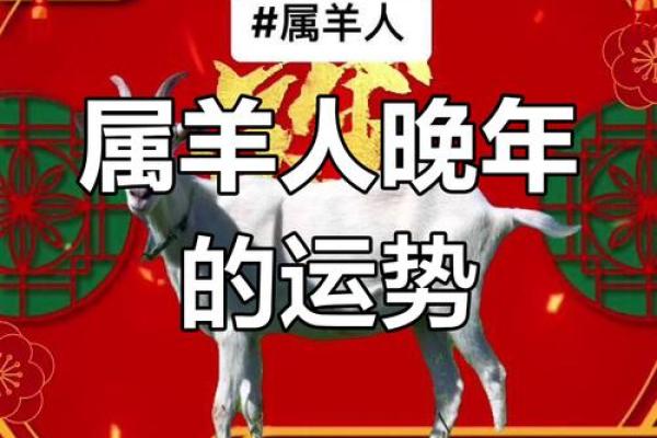 1979年属羊的人命里缺什么?如何通过养生改善运势! 1979年属羊的人命里缺什么?如何通过养生改善运势!