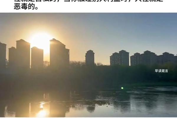 善良为何常常遭受苦难?揭示人性深处的真相 善良为何常常遭受苦难?揭示人性深处的真相