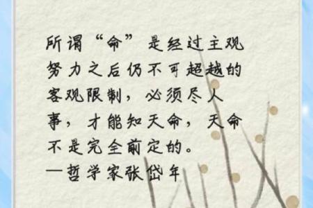 由什么命成语探寻生活之智慧，启迪心灵的真理