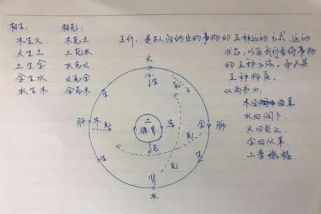 壬戌论命：探索阴阳五行中的命理奥秘