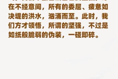 命如薄纸，人生的脆弱与坚韧之美