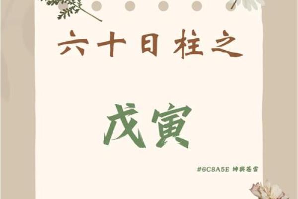 女命七杀多身弱，最佳配偶选择详解