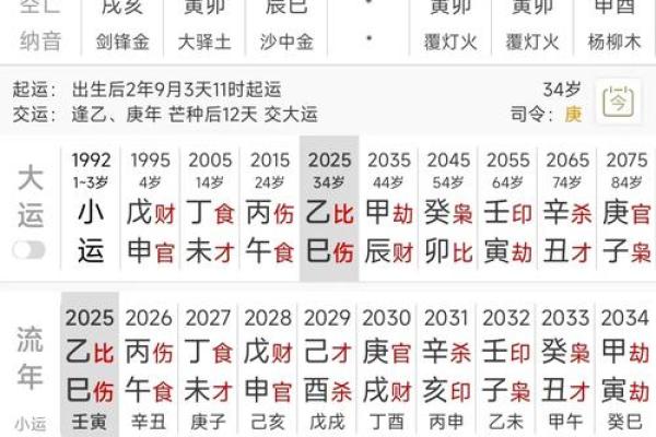 乙酉年生人命格解析，探索属于你的幸运与机遇