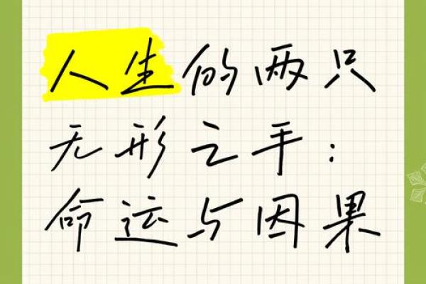 因果相连，命运交织：探索人生中的成语智慧