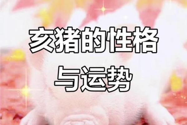 27岁属猪人在2023年的命运与生活解析