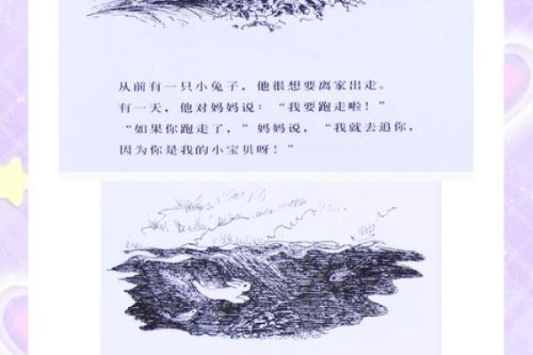 87兔子为何命运多舛？探寻不幸背后的原因与教训