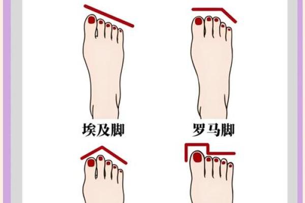 女人脚掌宽度与命运的关系探讨