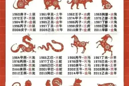 87岁是什么年庚什么命？探索老年人生的奥秘与智慧