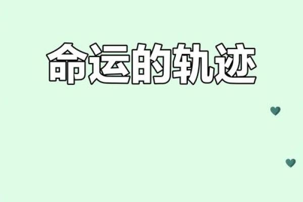 年轻人要信命吗？解读命运与选择的迷思