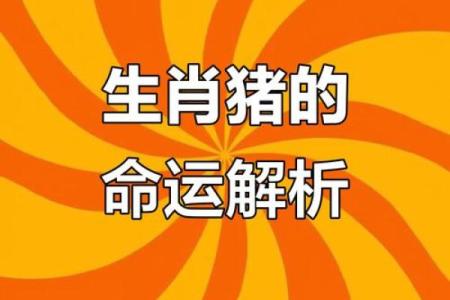辛亥猪年生人的命运：探索1971年出生者的性格与运势