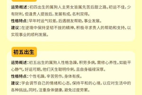 82年属狗人的命运与性格解析