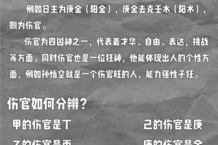 太草率了，究竟是什么性格与命运的对立与碰撞？